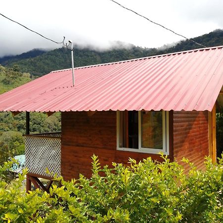 Mario'S Lodge Providencia Copey Eksteriør bilde