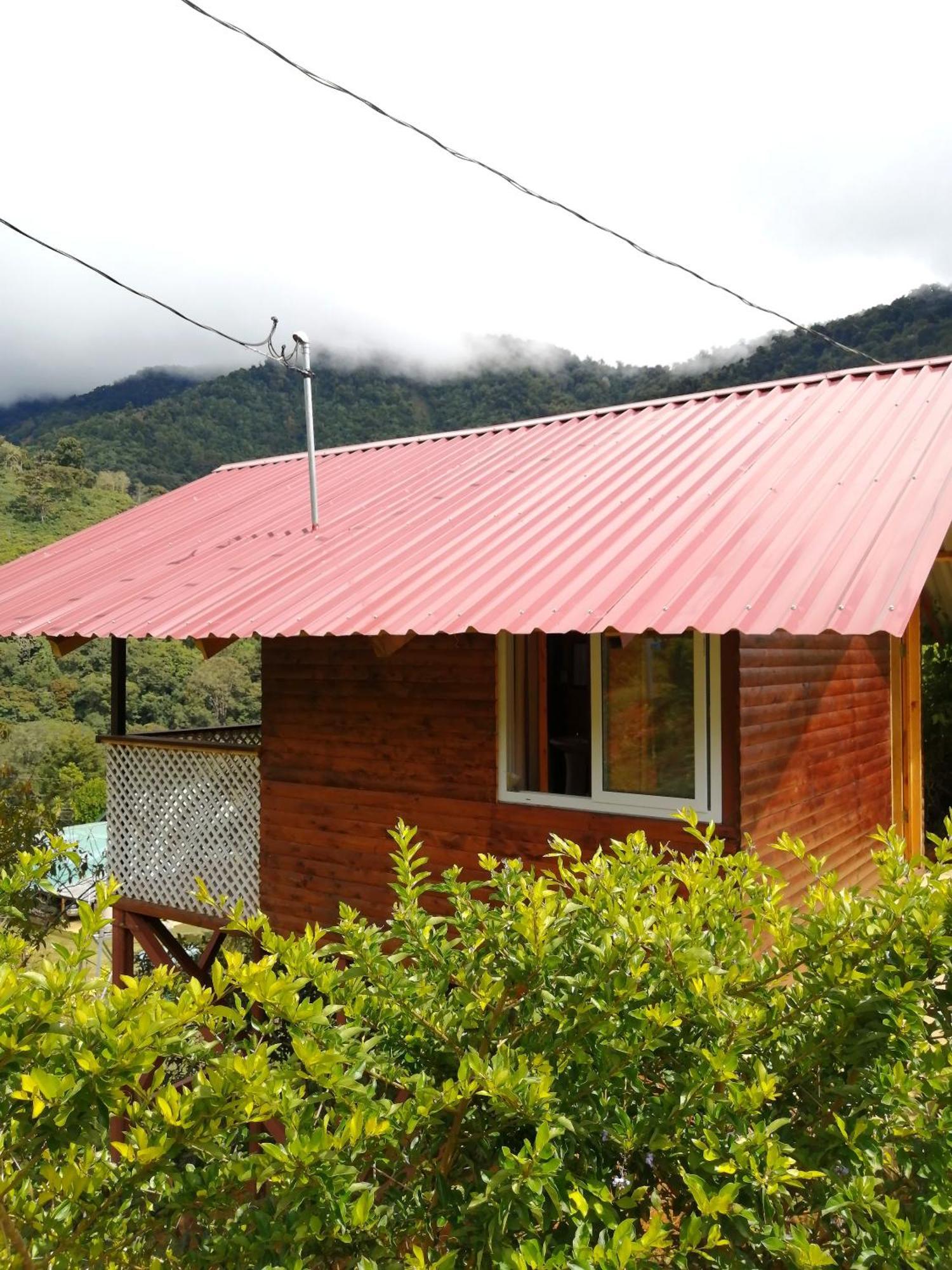 Mario'S Lodge Providencia Copey Eksteriør bilde